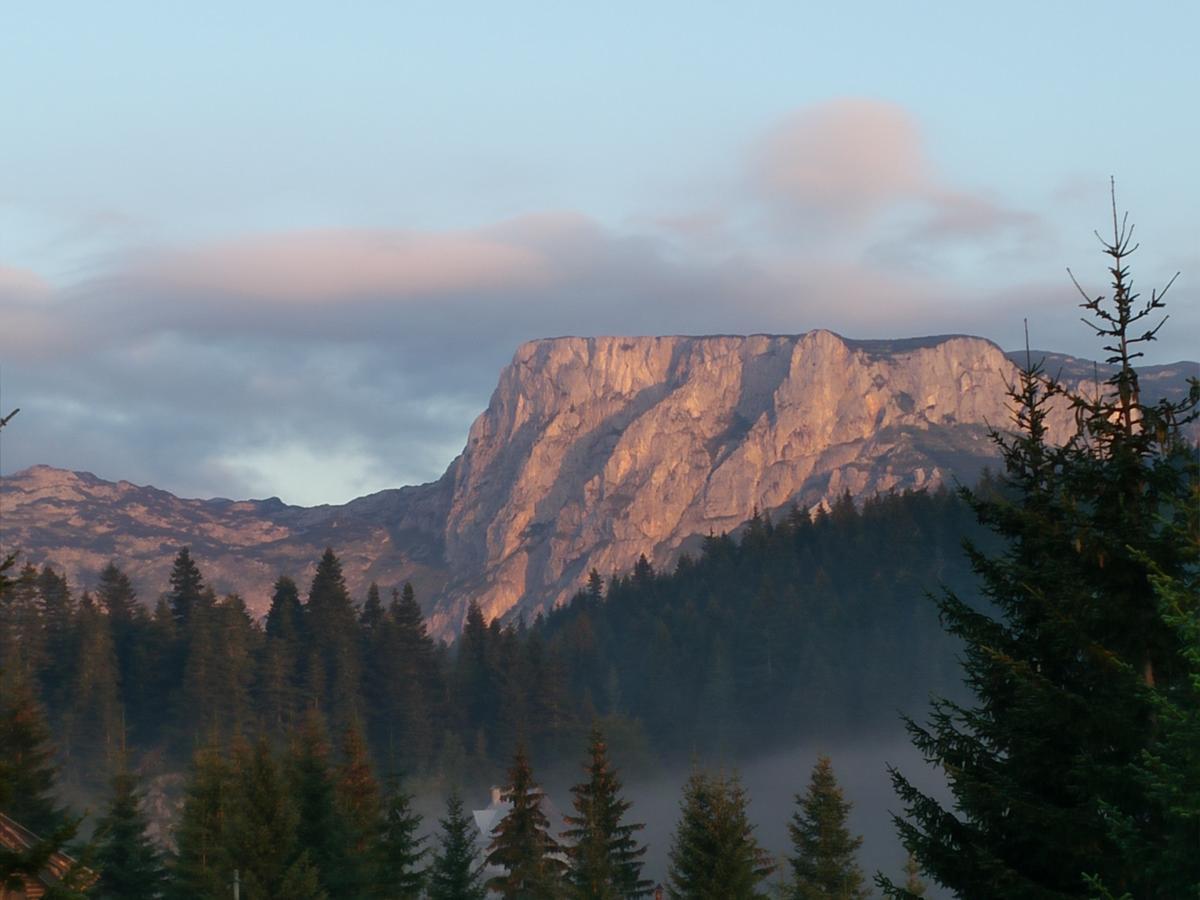 Апартаменты Durmitor