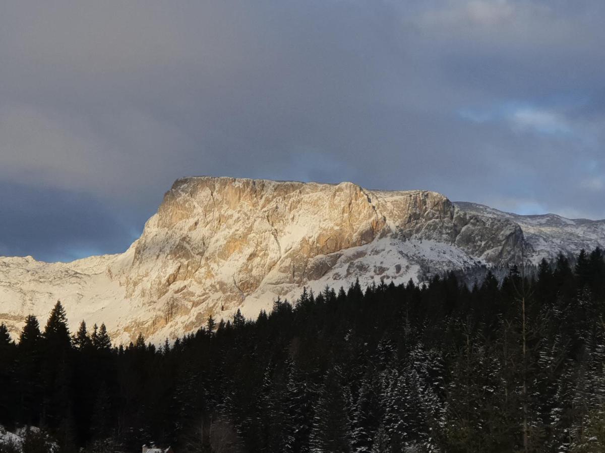 Апартаменты Durmitor